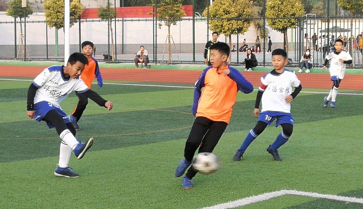 验将帮助后 验将帮助后