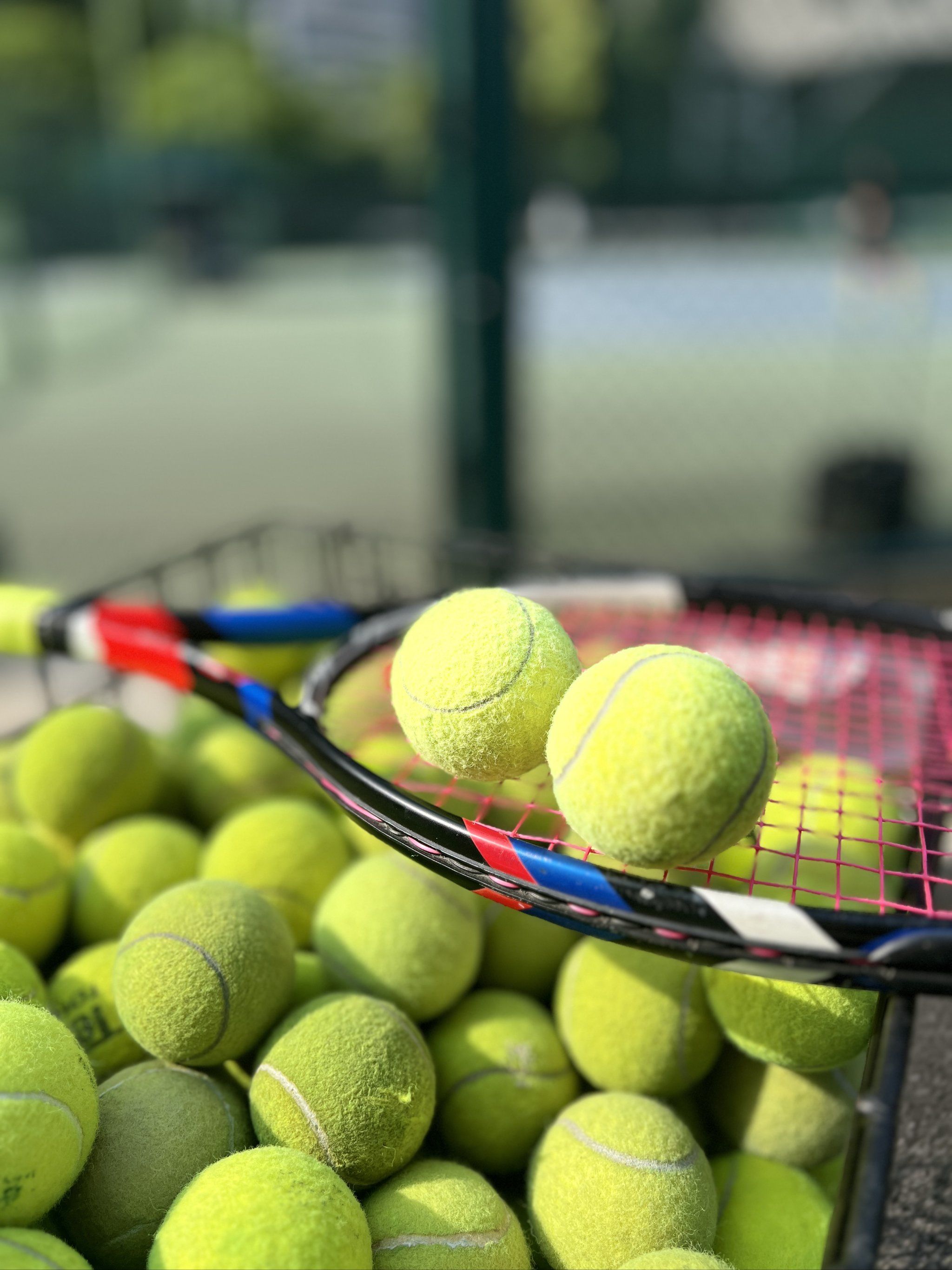 但感觉希望 但感觉希望