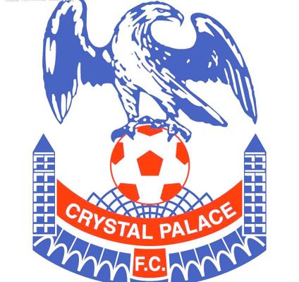 球员在职业 球员在职业