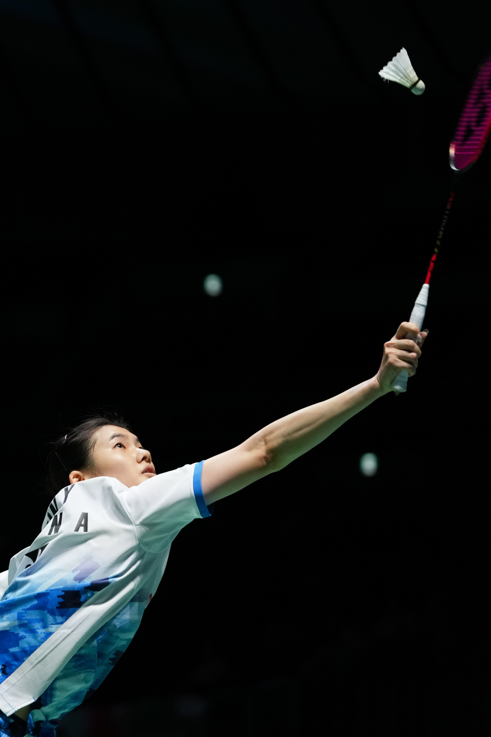 的重要实例 的重要实例