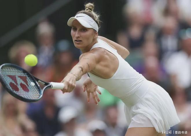 杨瀚森的能 杨瀚森的能