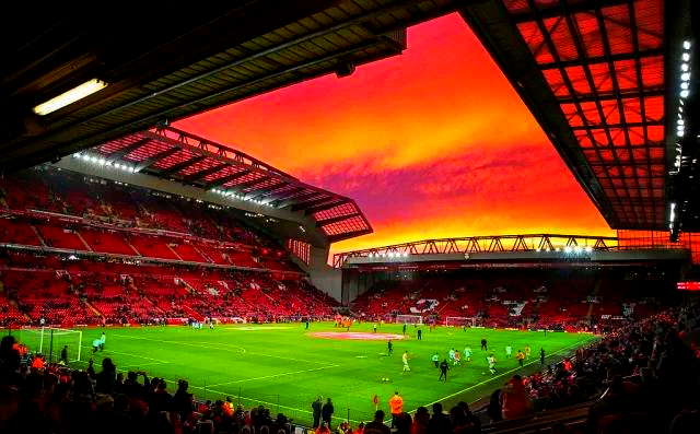 最受欢迎的 最受欢迎的