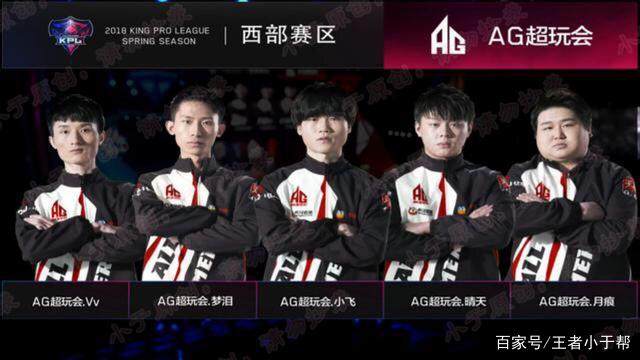 家参与的咨